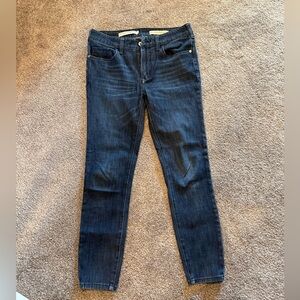 Pilcro and the Letterpress by Anthropology High-Rise Denim Legging size 28